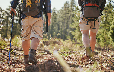 Image showing Nature hiking, fitness and exercise of people walking on a green forest park ground trail. Walk adventure trekking workout with green grass and plants on a outside training, hike or footpath track