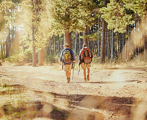 Image showing Friends or hikers hiking in a forest in nature on a dirt trail outdoors on a sunny summer day near trees. Active and fit men or tourists trekking or walking while on an adventure in the woods