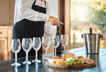 Image showing Cheese and wine tasting, waiter service and farm restaurant. Luxury date idea, fine dining experience, and alcohol glasses on table grapes food buffet and party celebration drink champagne pairing