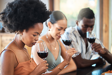 Image showing Friends red wine tasting fine dining experience at a vineyard restaurant for about us and hospitality. Group of black people glass of luxury, quality alcohol drink in a winery business or industry