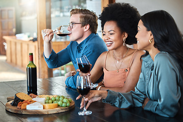 Image showing Wine party, friends and happy luxury tasting with healthy organic fruit with cheese and alcohol on a food table. Smile, diversity and young group of people in discussion at a relaxed dining event.