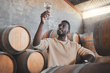 Image showing Wine expert or entrepreneur with glass during tasting test in a cellar or distillery in a warehouse. Black agriculture worker in alcohol production storage or wooden barrel in a manufacturing winery