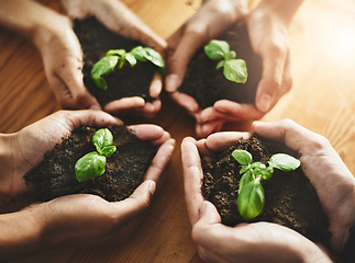 Image showing Nature, sustainability and earth soil growth showing teamwork, green energy and a eco friendly environment. Save the planet and environmental development with clean net zero carbon footprint together