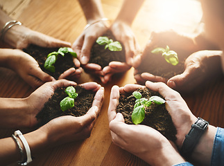 Image showing Hands holding fresh green plants in circle huddle for healthy growth, organic planting or sustainable development. Closeup of diverse group of environmental scientists with net zero carbon footprint
