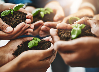 Image showing Eco friendly hands and plants with growth, teamwork, togetherness and nature development and growth as a community from above view. Group of people with organic green flower leaves on dirt close up