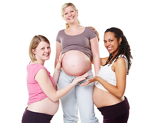 Image showing Pregnant, friends and woman with hands on stomach of pregnancy wellness female against a white background. Support, hope and diversity portrait of women showing healthy abdomen of happy mother