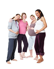 Image showing Pregnant girl friends, pregnancy and future mother group portrait looking happy and content. Happiness of women smile holding their stomach to show support, trust and community solidarity at a studio