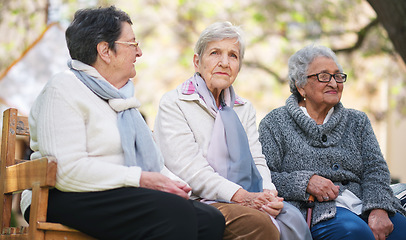 Image showing Happy old women sitting on bench in park smiling happy life long friends enjoying retirement together