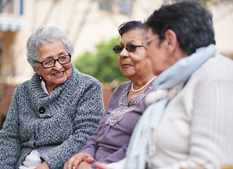 Image showing Happy elderly women sitting on bench in park smiling best friends enjoying retirement together