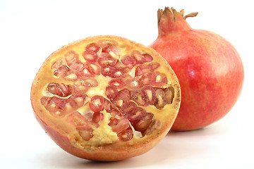 Image showing Pomegranate