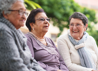 Image showing Happy elderly women sitting on bench in park smiling best friends enjoying retirement together