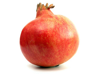 Image showing Pomegranate