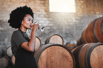 Image showing Wine, drink and cellar woman tasting a glass from their manufacturing or farming distillery plant as part of quality checklist. Agriculture, sustainability and winery farm worker in brewery warehouse