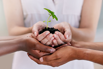 Image showing Growth, teamwork and sustainability plant support hands of business people holding soil with leaf or flower. Sustainable, community and eco friends palms in collaboration for earth day or development