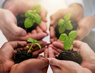 Image showing Hands of people with soil, green plant or seedling for agriculture growth, farming and earth day. Hope, nature and farmer, gardening or planting seeds for healthy food and environment protection