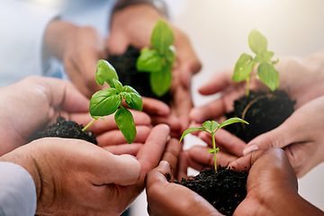 Image showing Green economy, sustainability plants hands and global growth of teamwork with hope, help and trust for earth, future community and environment success. Support for nature, collaboration and planet