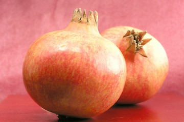 Image showing Pomegranate