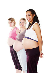 Image showing Pregnant group of women in row with belly, stomach and tummy showing for maternity, healthcare and motherhood against a white studio background. Portrait of diversity community of excited happy moms