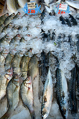 Image showing Supermarket fish sale