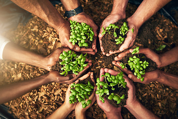 Image showing Diverse group of people holding sustainable plants in an eco friendly environment for nature conservation. Closeup of hands planting in fertile soil for sustainability and organic farming