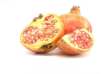 Image showing pomegranate