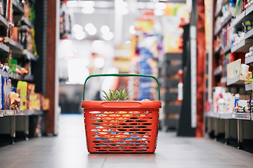 Image showing Supermarket, shopping and store grocery basket on floor of retail food shop for eating, drinking and health. Pineapple, apple and fruit product sale at mall food market for a customer or consumer