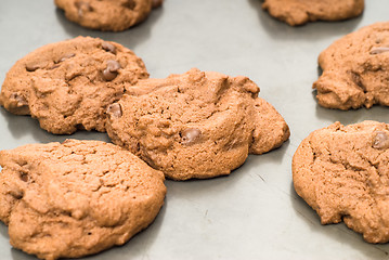 Image showing Chocolate Chip Cookies