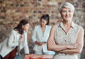 Image showing Leadership, business woman empowerment and manager working with vision, success and team motivation in company office. Portrait mature lady, happy professional entrepreneur and proud smile employee