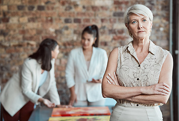 Image showing Elderly woman, art gallery manager and exhibition room working talking. Interior design business, review paintings and project teamwork. Serious buyer talking, museum collection and creative critic