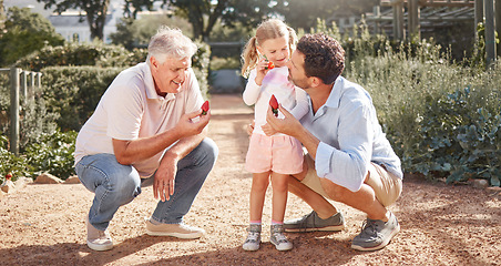 Image showing Strawberry, summer and family eating fruit in a sustainable garden, park or field in nature outdoors together. Grandfather, dad and young girl bonding on farm trip enjoying strawberries on holiday.