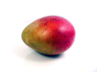 Image showing Mango, fruit