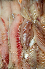 Image showing Tilapia filet