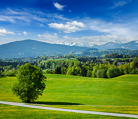 Image showing Road in pastoral countryside