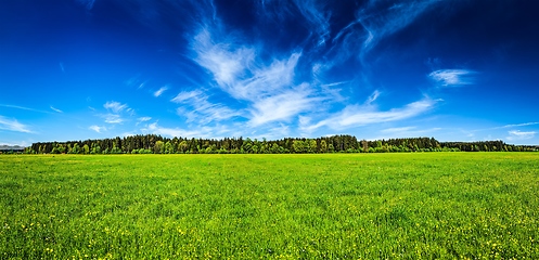 Image showing Summer meadow panorama