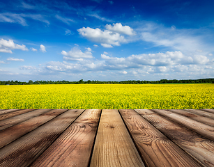 Image showing Yellow canola field with sky, wooden planks floor