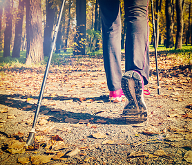 Image showing Nordic walking