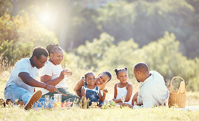 Image showing Black family, nature picnic and bond with children, parents and grandparents in remote countryside field in summer. Mother, father or senior with girls eating food on park grass with background trees