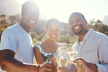 Image showing Wine glasses, champagne and friends portrait in a park, vineyard or green nature celebration for summer vacation. Happy, friendship and alcohol with black people and woman smile, drink and lens flare