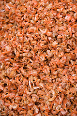 Image showing Dry shrimps