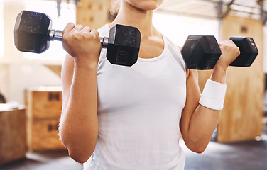 Image showing Hands of woman, dumbbell and exercise or workout at the gym for fitness and health. Healthy, sport and sports trainer or athlete or gymnast training for muscle power and weight lifting competition