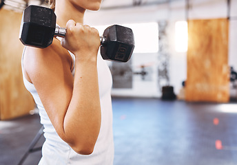 Image showing Training, health and weightlifting by woman exercise with a dumbbell at gym or fitness center. Young athlete join on gym membership, begin physical health journey, muscle, physical and body goals