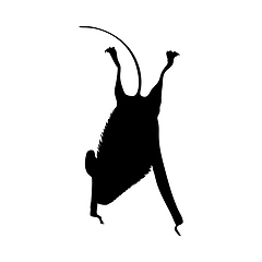 Image showing Free Tailed Brazilian Bat Silhouette
