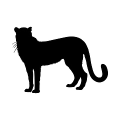 Image showing Cheetah Silhouette