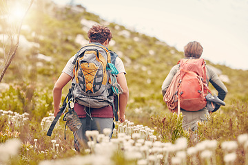 Image showing Hiking couple, nature and walking on mountain, hill or environment nature countryside with wildflowers in France. Man and woman with backpack on break, fitness or exercise in relax workout for health