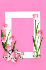 Image showing Spring Flower Background with Pink Tulips and Quail Eggs