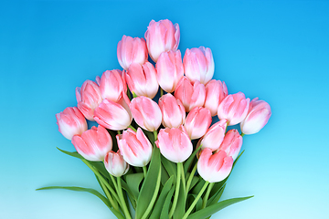 Image showing Pink Tulip Flower Spring Bouquet 