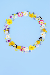 Image showing Spring Beltane Floral Wreath with Flowers and Wildflowers