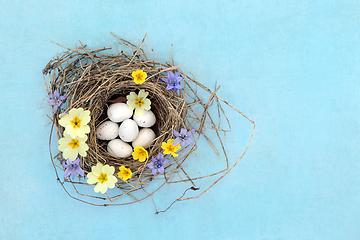 Image showing Blue Tit Eggs in Bird Nest with Spring Flowers