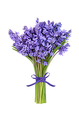 Image showing Bluebell Flower Bouquet for Spring