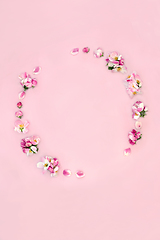 Image showing Apple Blossom Flower Wreath for Spring and Beltane 